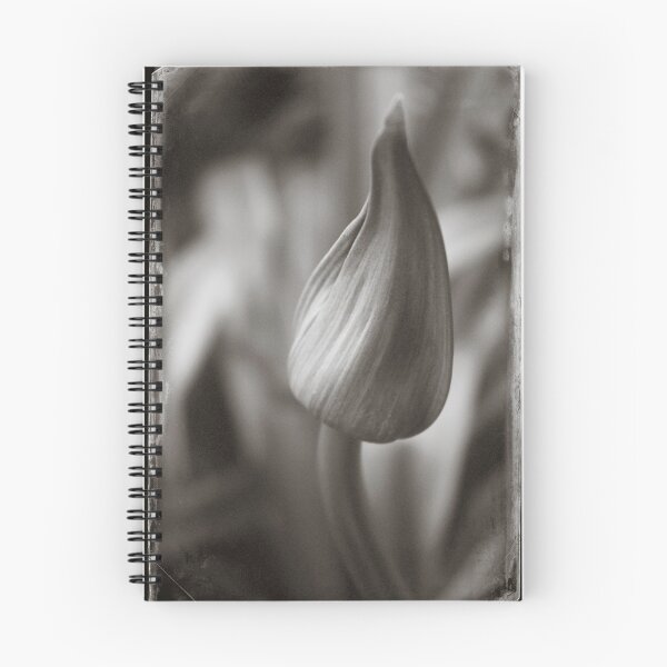 Item preview, Agapanthus Bud designed and sold by Geraldine Holly.