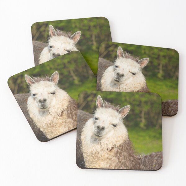 Item preview, Alpaca Posing for Camera designed and sold by acceleratorhams.