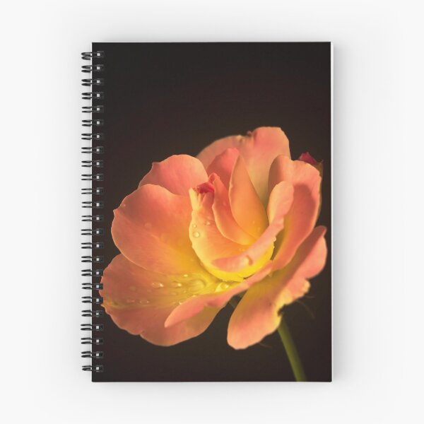 Item preview, Solitary Rose designed and sold by Geraldine Holly.