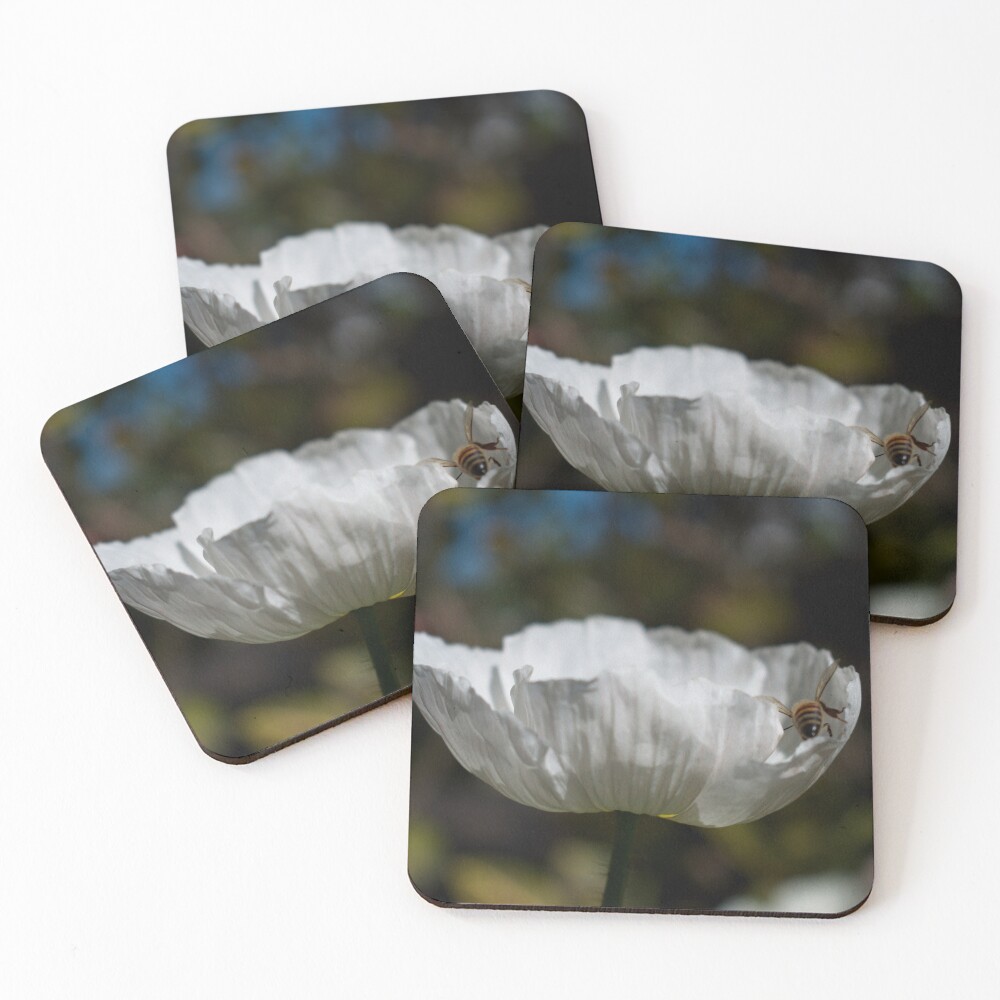 Item preview, Coasters (Set of 4) designed and sold by MagdaLabuda.
