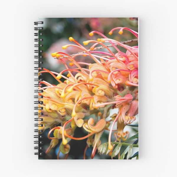 Aperçu de l'œuvre Grevillea - Robin Gordon  créée et vendue par Tony Waite.