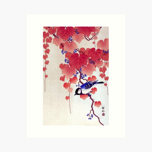 Koolmees Op Paulownia Tak Art Print