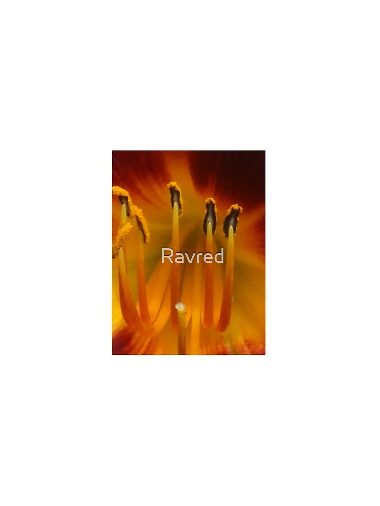 Thumbnail 5 of 5, iPhone Case, Dancing Ladies designed and sold by Ravred.