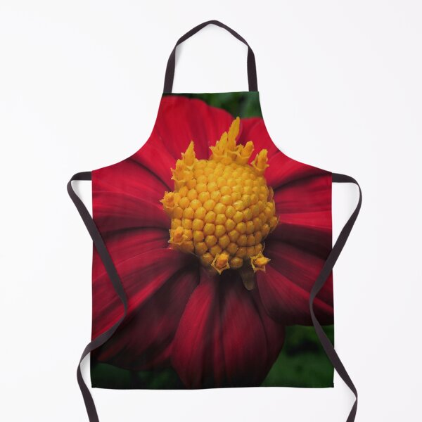Item preview, Dahlia 'Bishop of Auckland' designed and sold by Marilyn Harris.