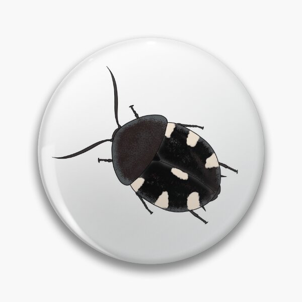 Item preview, Domino roach therea petiveriana designed and sold by Binkykun.