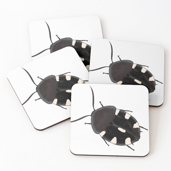 Item preview, Domino roach therea petiveriana designed and sold by Binkykun.