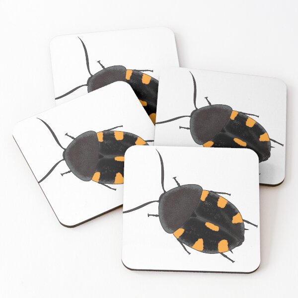Item preview, Orange domino roach Therea regularis designed and sold by Binkykun.