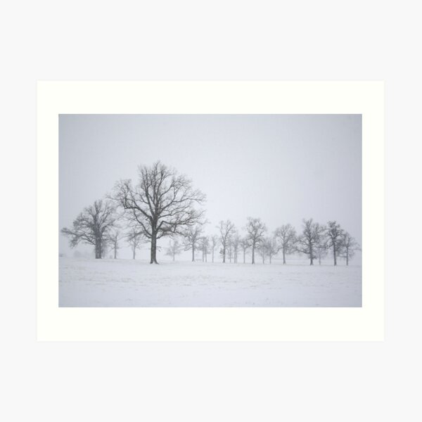 Sentinels Art Print