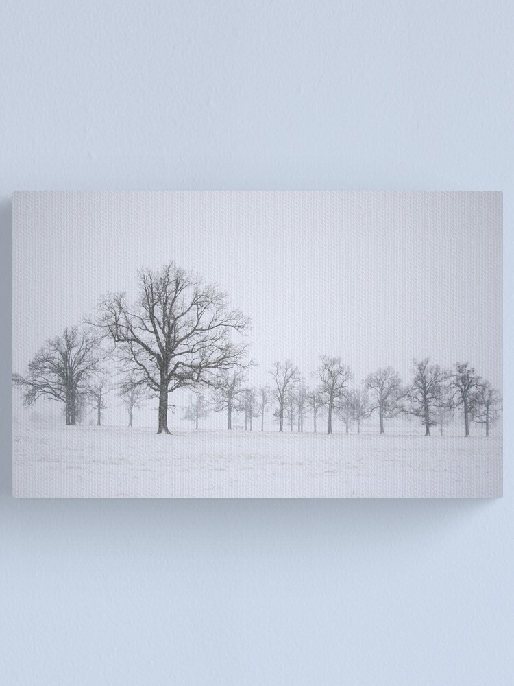 Alternate view of Sentinels Canvas Print