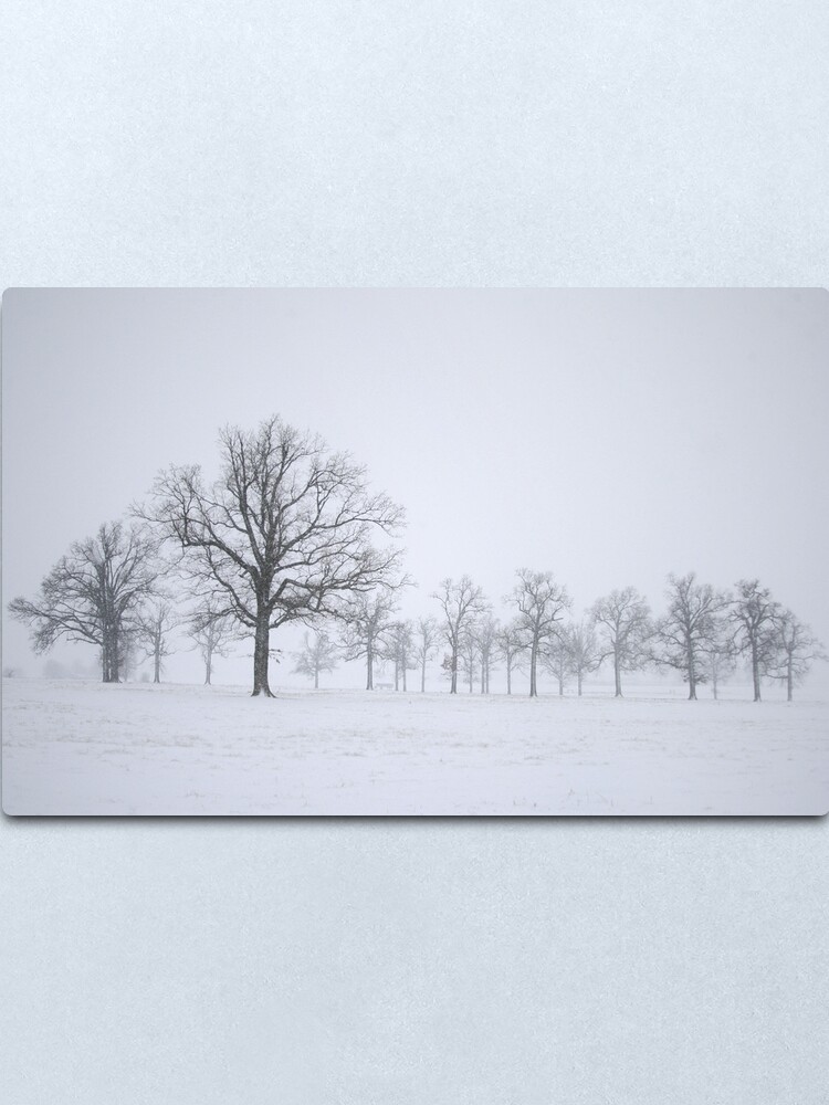 Alternate view of Sentinels Metal Print
