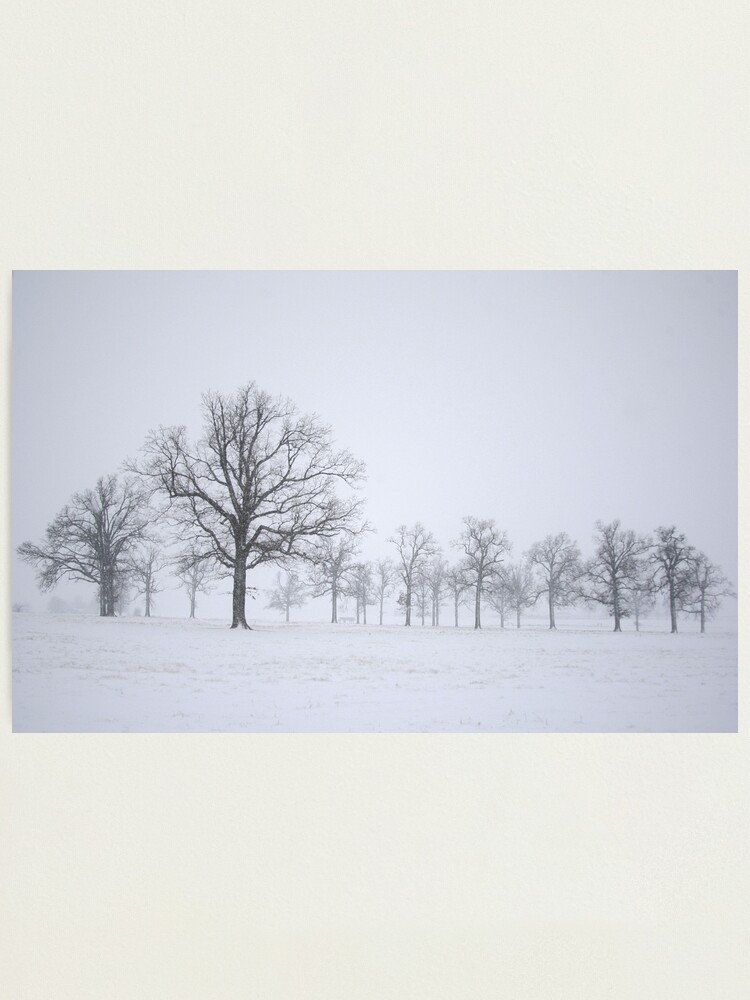 Alternate view of Sentinels Photographic Print