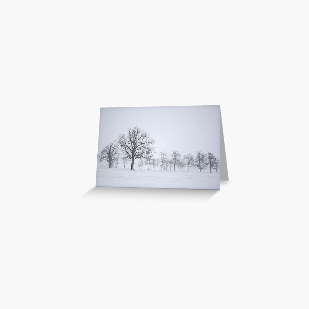 Sentinels Greeting Card