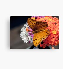 Cruiser Canvas Print