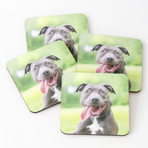Item preview, Pitbull dog licking show tongue and teeth portrait Animals Gifts Safe Face protection covering Men Women designed and sold by Dolphin Graphic.