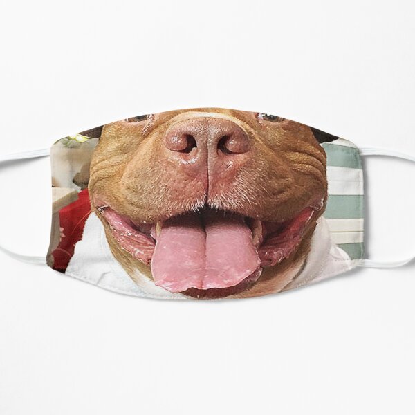 pitbull dog portrait with human expression animals gifts safe face protection covering men women mask by davosllc redbubble