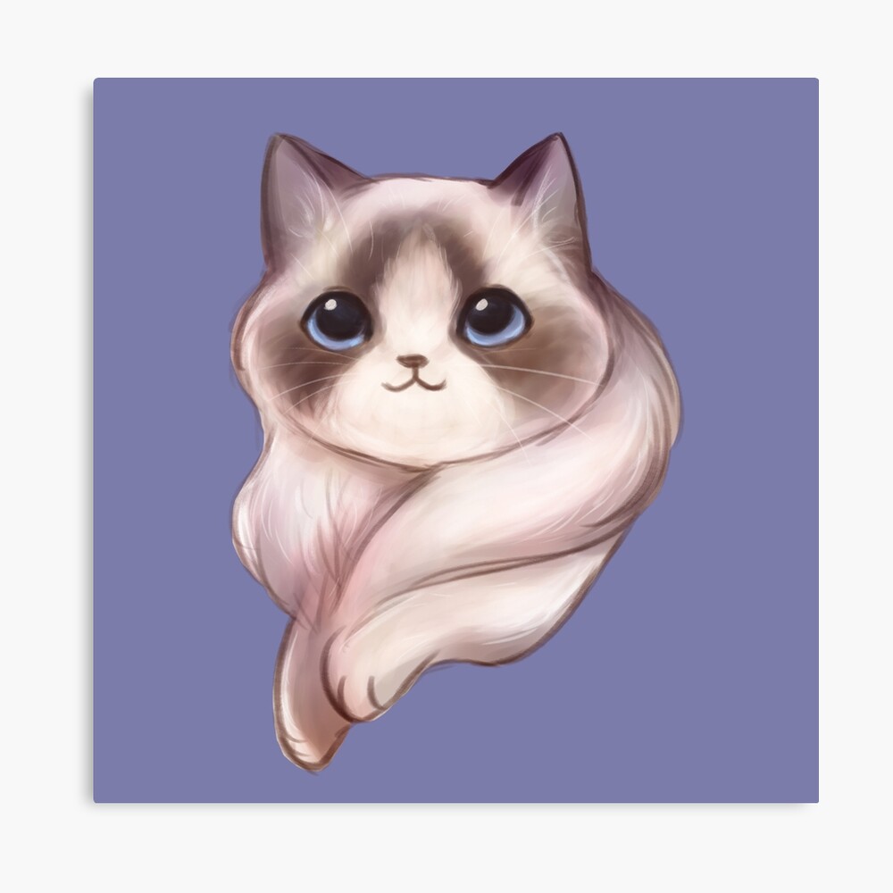 lavender ragdoll