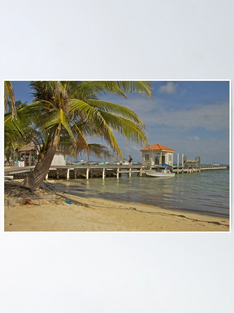 Thumbnail 1 of 3, Poster, Paradise designed and sold by Ravred.