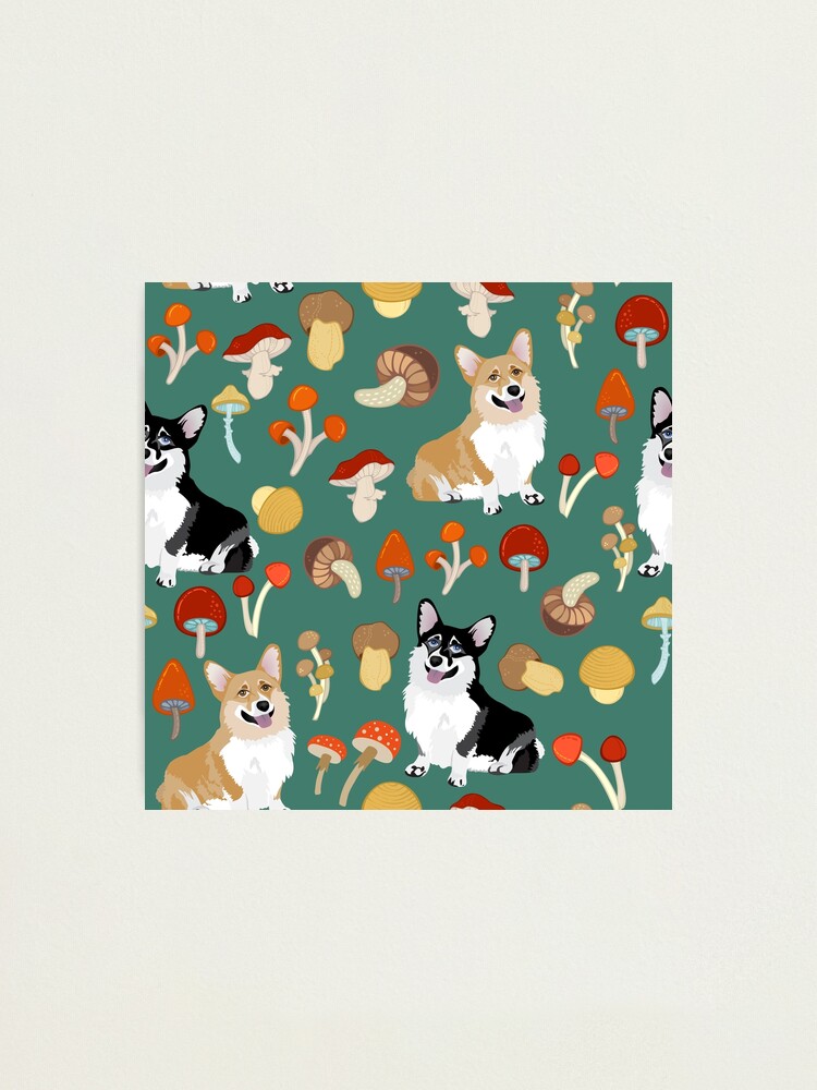 Alternate view of Corgis In Mushroom Fall Forest - Teal Photographic Print