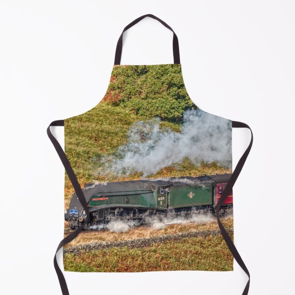 Item preview, 60009 Union of South Africa designed and sold by Steve H Clark.