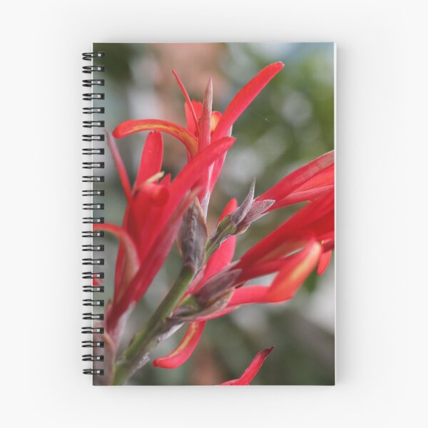 Item preview, Cana Indica, study 1 designed and sold by Geoff Treagus.