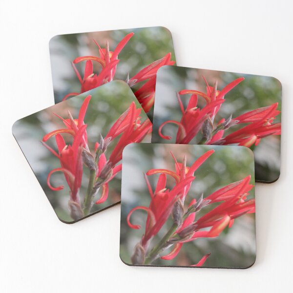 Item preview, Cana Indica, study 1 designed and sold by Geoff Treagus.