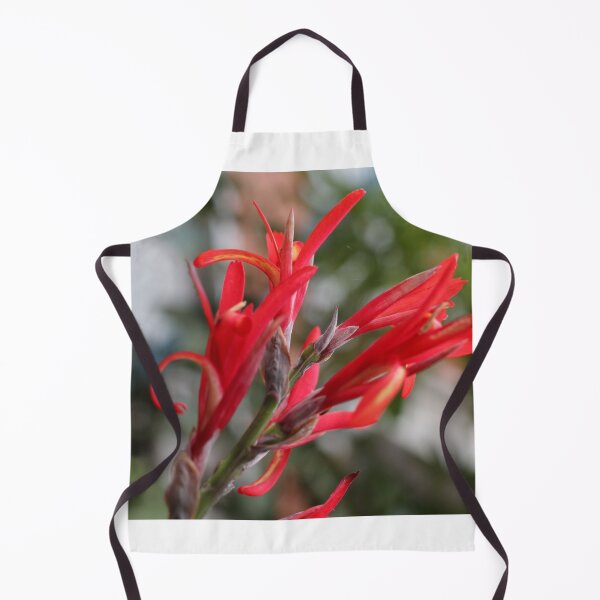 Item preview, Cana Indica, study 1 designed and sold by Geoff Treagus.