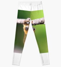 Closer Leggings