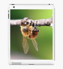 Closer iPad Case/Skin