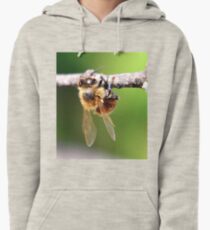 Closer Pullover Hoodie