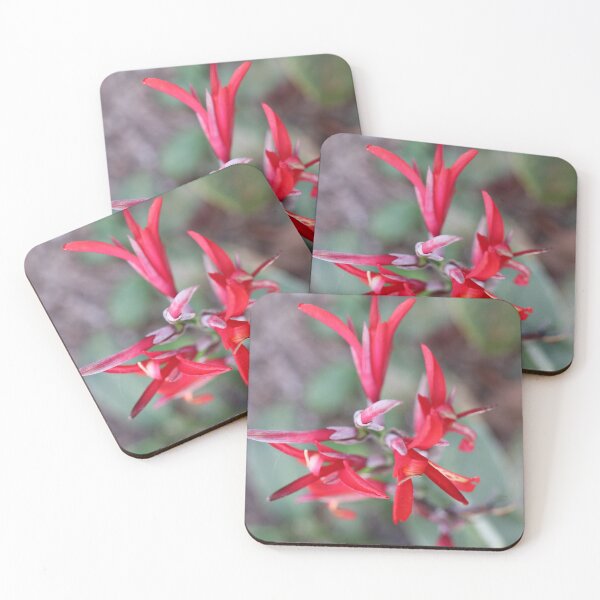Item preview, Cana Indica, study 2 designed and sold by Geoff Treagus.