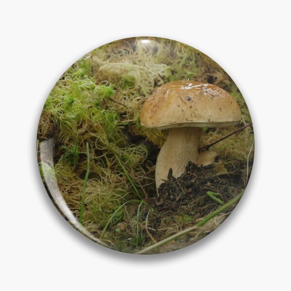 Item preview, Boletus Edulis close to designed and sold by mrivserg.