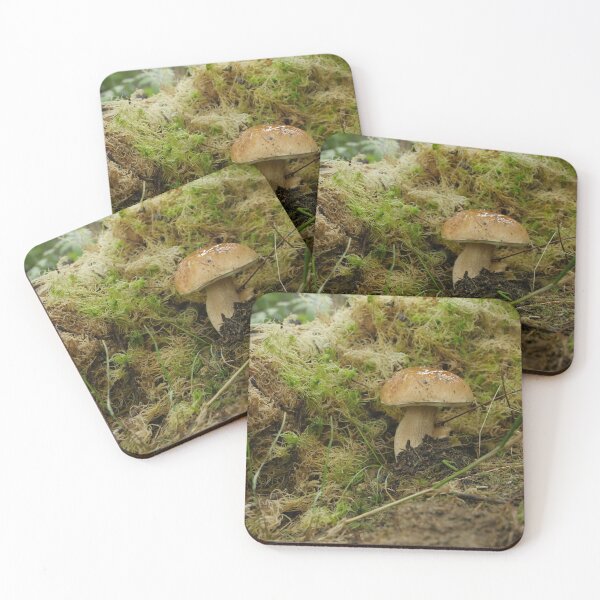 Item preview, Boletus Edulis close to designed and sold by mrivserg.