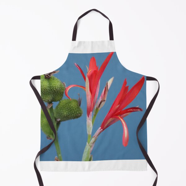 Item preview, Canna Indica, study 3 designed and sold by Geoff Treagus.
