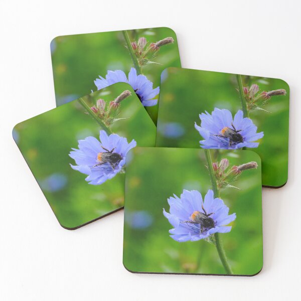 Item preview, bumblebee on chicory flower designed and sold by mrivserg.
