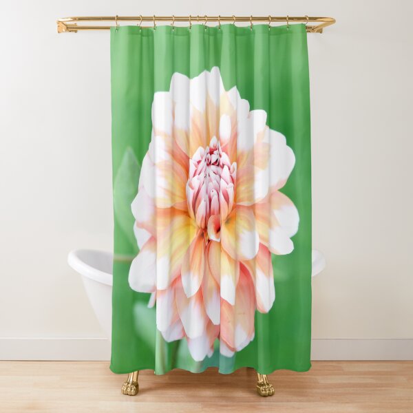 Dahlias Shower Curtains Redbubble