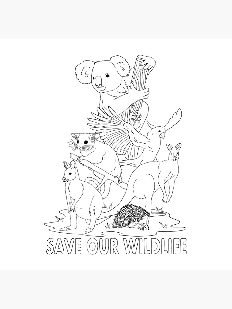 World Wild Life Conservation Day – India NCC