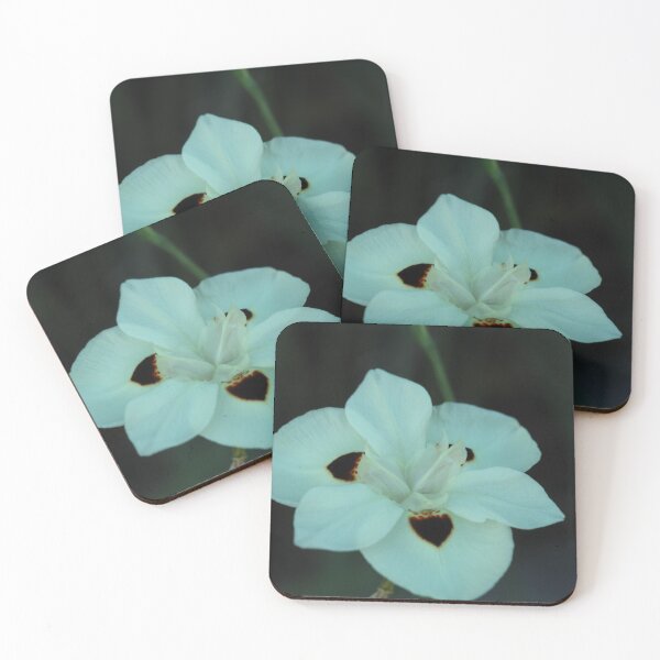 Item preview, African Iris, study 1 designed and sold by Geoff Treagus.