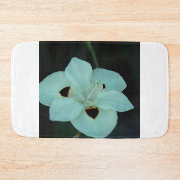 Item preview, African Iris, study 1 designed and sold by Geoff Treagus.