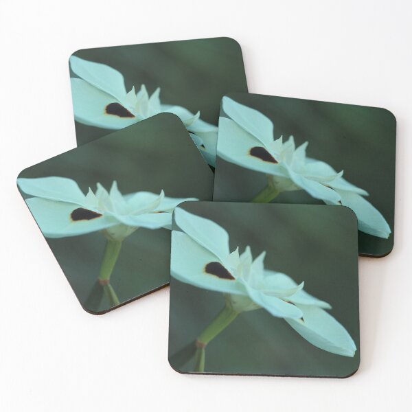 Item preview, Aftrican Iris, study 2 designed and sold by Geoff Treagus.