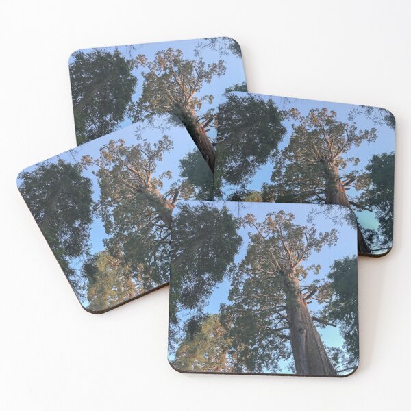 Item preview, Giant Sequoias in Sequoia National Park California designed and sold by Trevor and Photos.