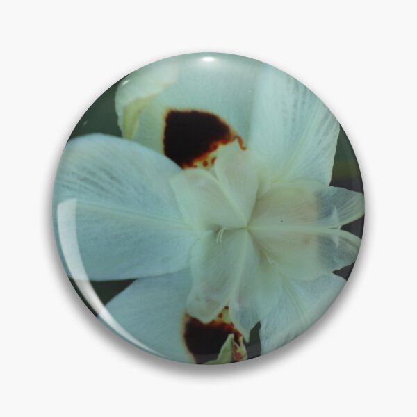 Item preview, African Iris, study 3 designed and sold by Geoff Treagus.