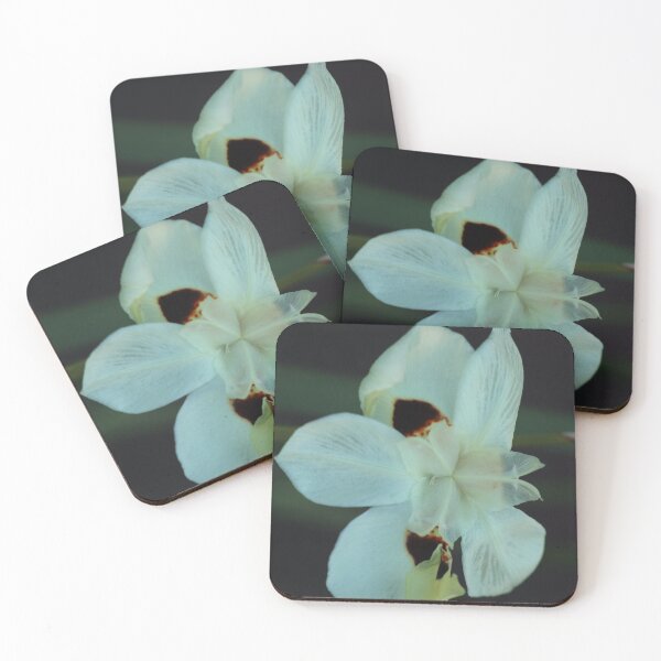Item preview, African Iris, study 3 designed and sold by Geoff Treagus.