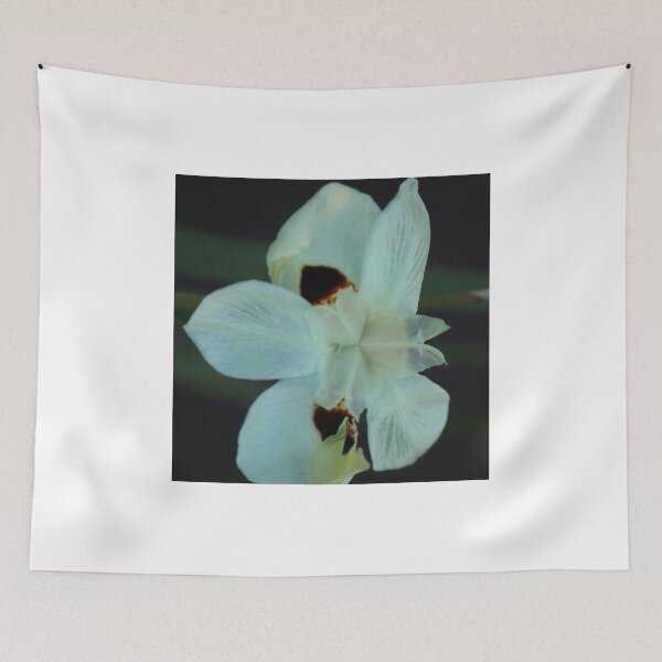 Item preview, African Iris, study 3 designed and sold by Geoff Treagus.