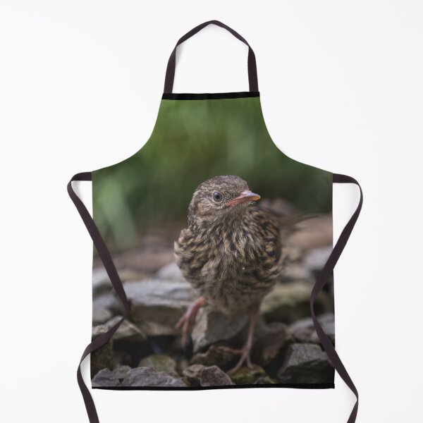 Item preview, Juvenile Dunnock in the garden designed and sold by Kipcio.