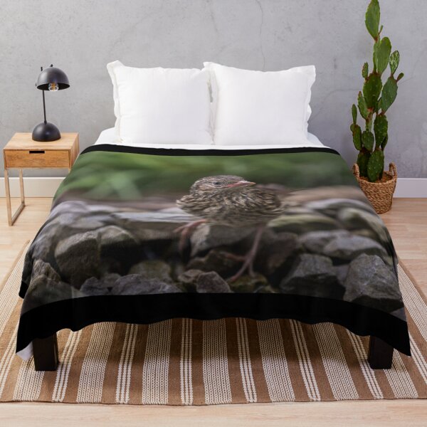 Item preview, Juvenile Dunnock in the garden designed and sold by Kipcio.
