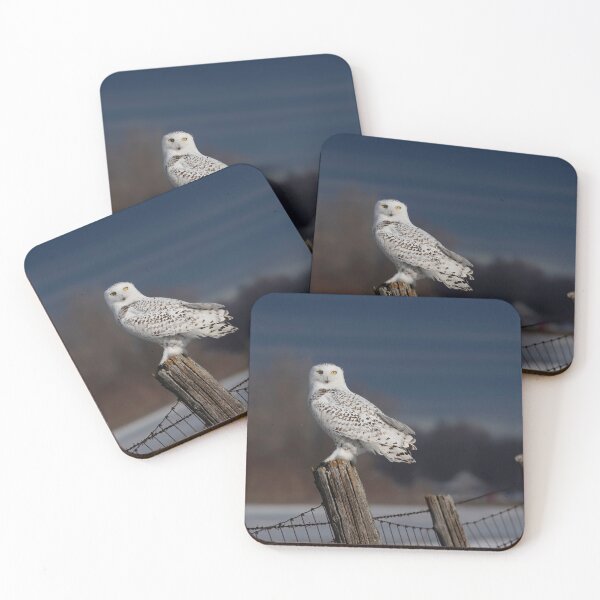 Item preview, Snowy Owl at Sunrise designed and sold by James Cumming.