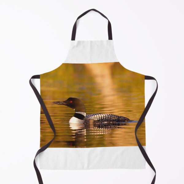 Artikelvorschau, Seetaucher, der im goldenen Wasser schwimmt entworfen und verkauft von James Cumming.