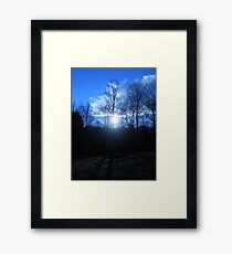 Blue Trees Framed Print