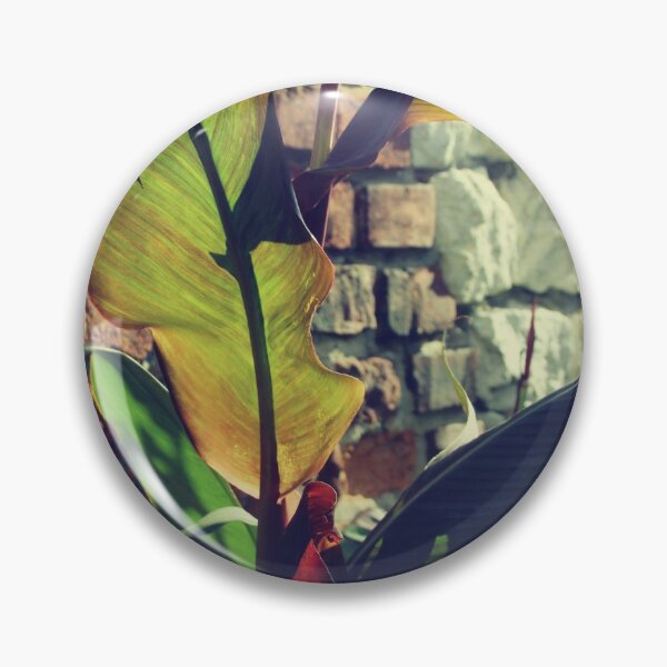 Artikelvorschau, Canna Indica # 4 entworfen und verkauft von greatnorris.