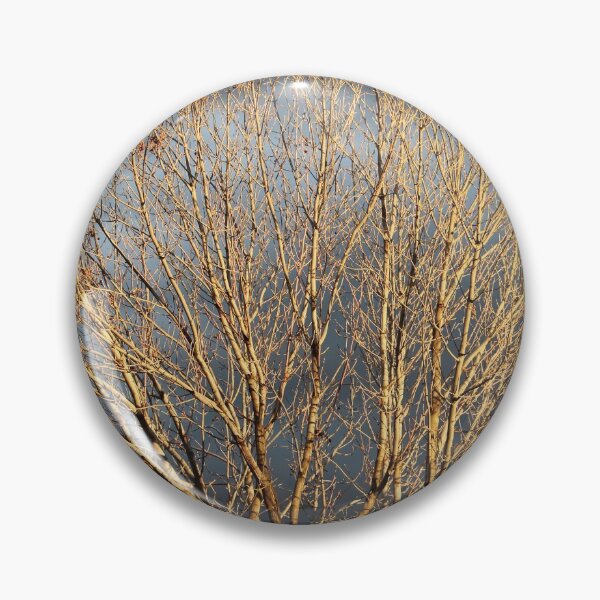 Item preview, Winter Tree in the Sun designed and sold by Susie Kramer.